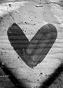 Wall_Art_Alphabet_Photography_Art_ 799